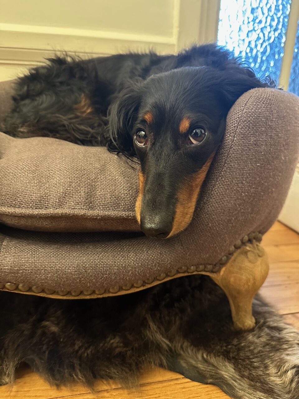 日々のことば、「ベストを尽くした後にあるもの」