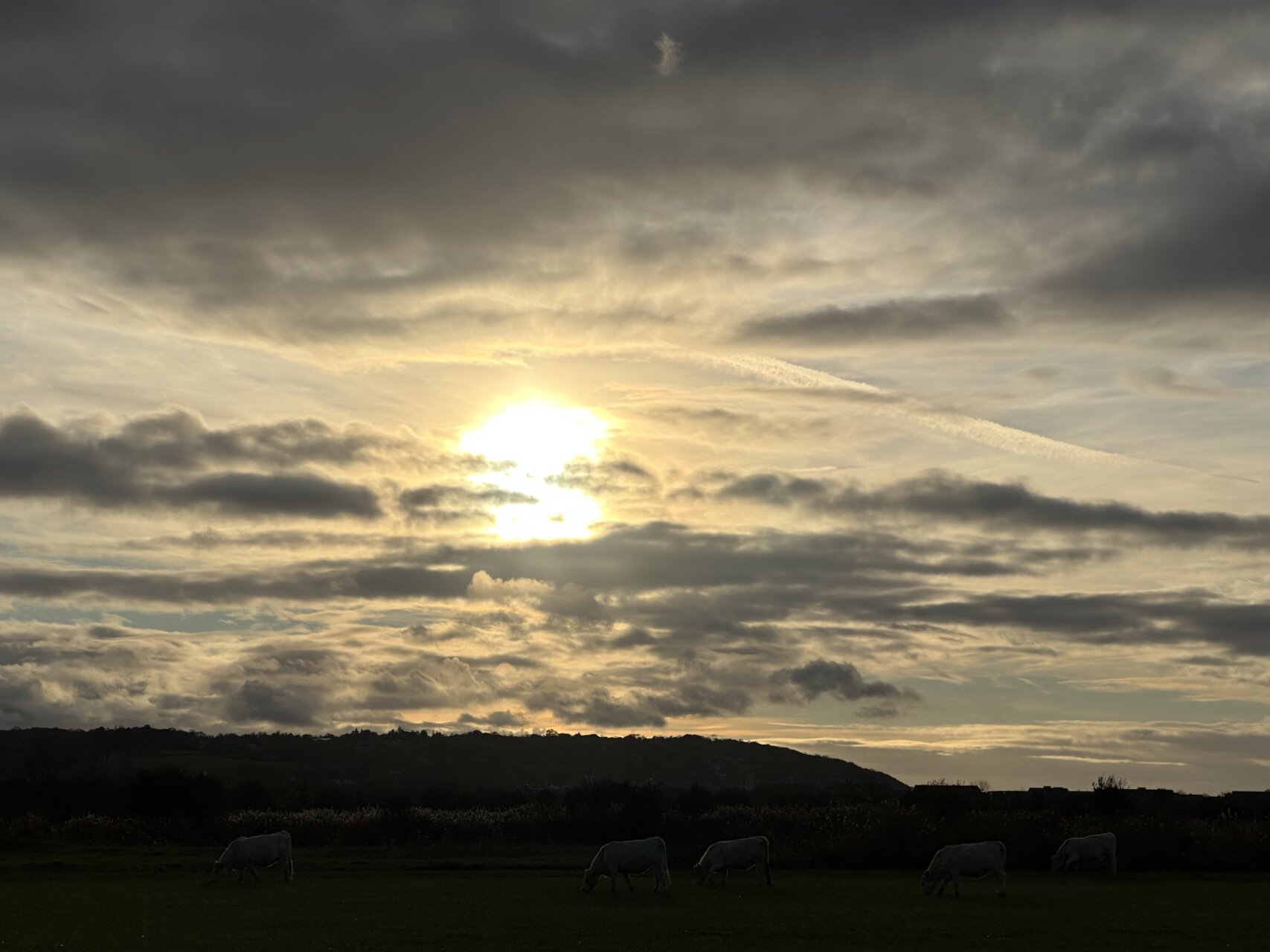 連載小説第二部完了、パリ個展終了、今、現時点の父ちゃん