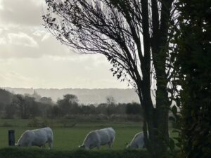 連載小説第二部完了、パリ個展終了、今、現時点の父ちゃん