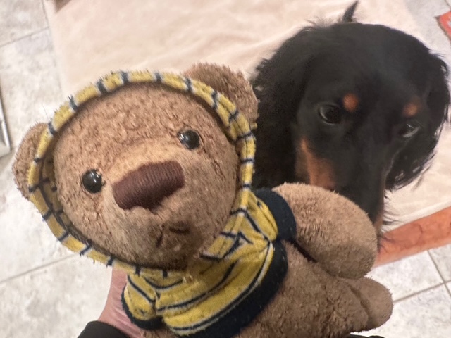 ノルマンディ・アトリエ日記(1)