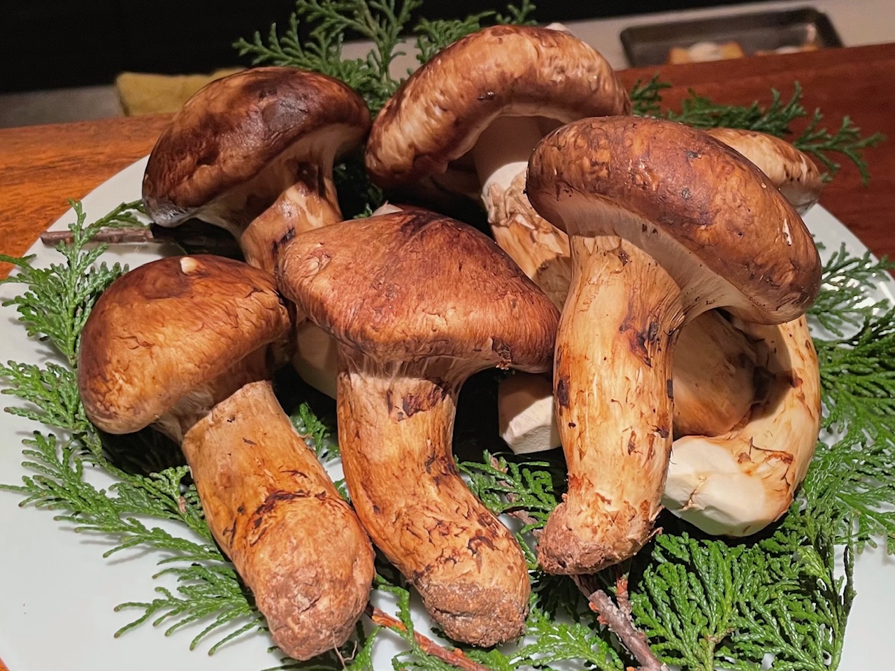 何食べているの～、父ちゃんの日本飯！