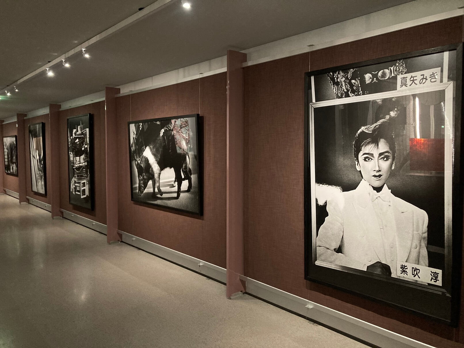 パリ・アート情報「パリのカルティエ財団現代美術館、リニューアルレポート！」