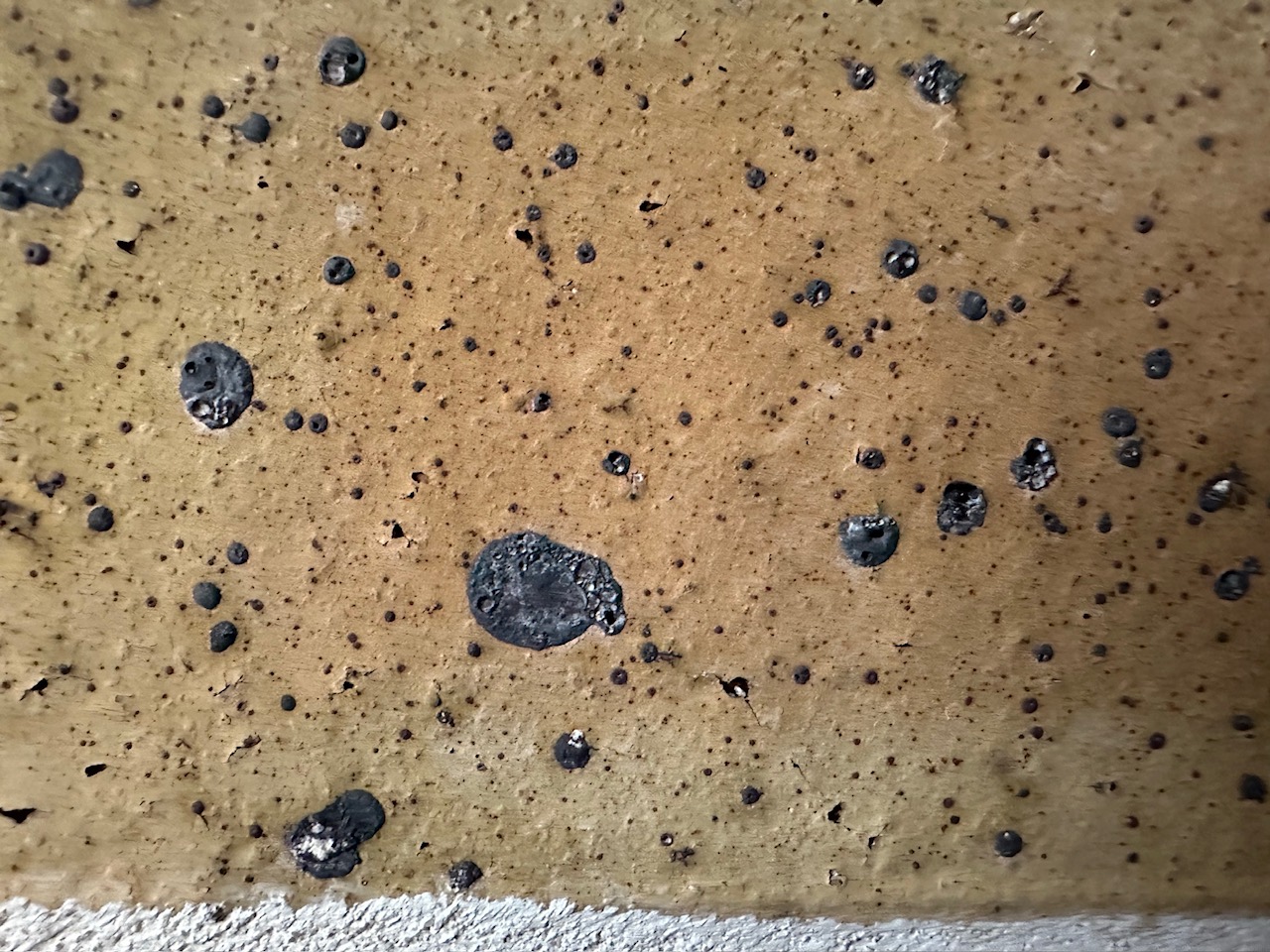 連載小説「泡」第三部「鏡花水月」第3回