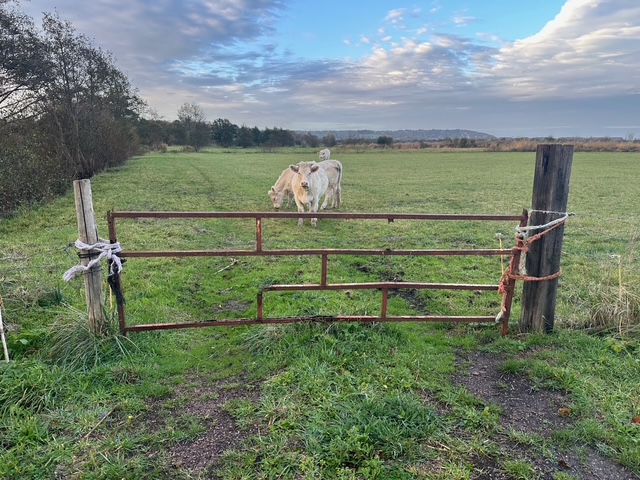 日々のことば、「急ぐべからず」