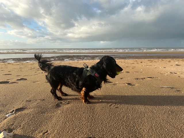 ノルマンディ日記（絶体絶命大ピンチの巻）