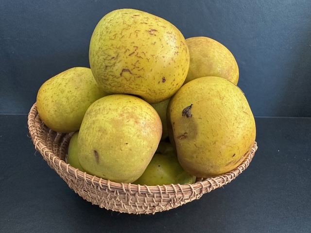 何食べているの~、父ちゃんのノルマンディ飯(タルト・ノルマンド)