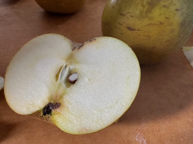 何食べているの~、父ちゃんのノルマンディ飯(タルト・ノルマンド)