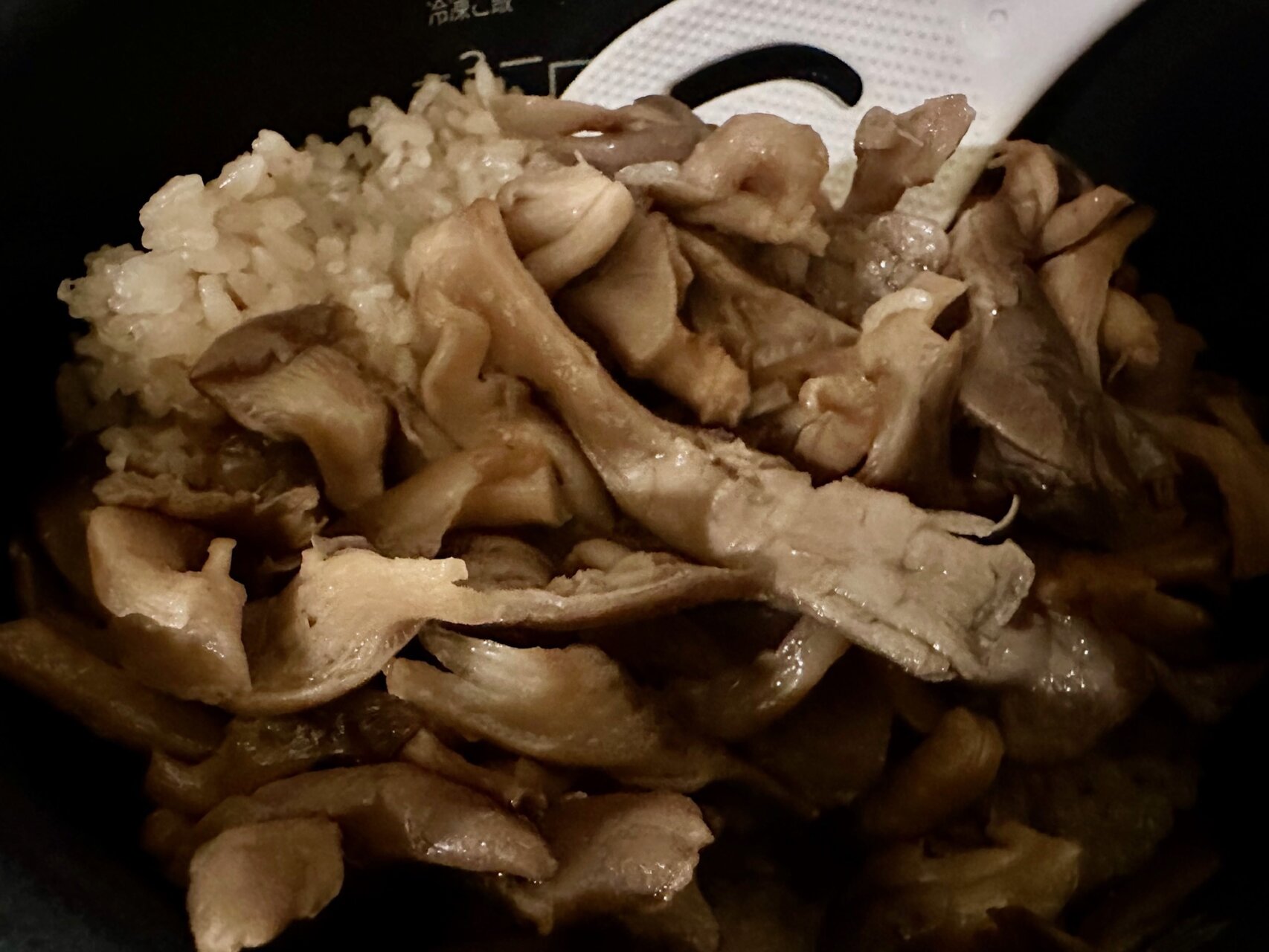 何食べているの~、父ちゃんのパリ飯(茸ご飯)