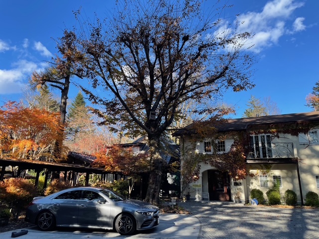 小さい秋、見つけた。軽井沢日記(15号室、森の朝食)