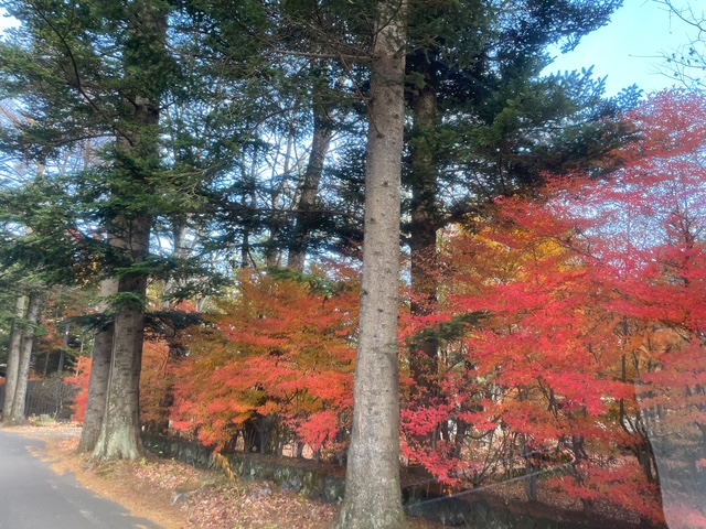 小さい秋、見つけた。軽井沢日記(1)