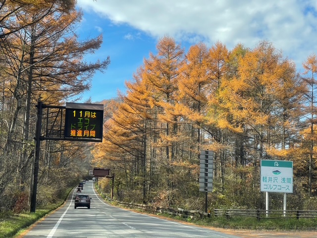 小さい秋、見つけた。軽井沢日記(1)