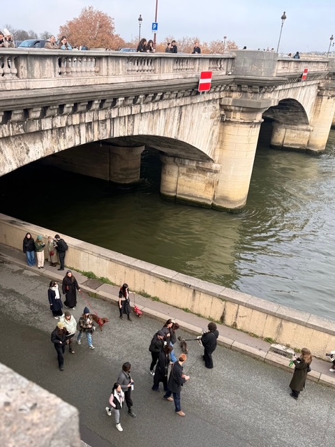 その頃、三四郎は??? ダックス大行進!