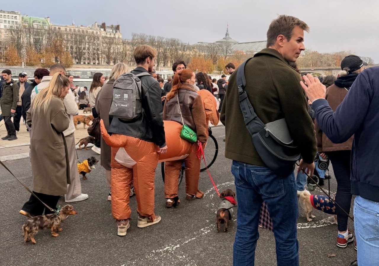 その頃、三四郎は??? ダックス大行進!