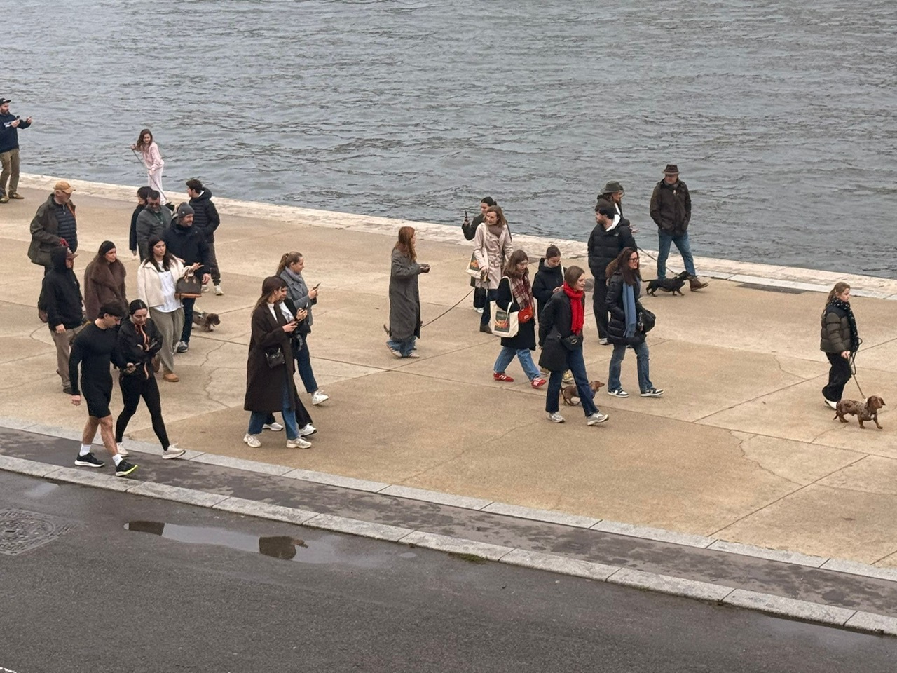 その頃、三四郎は??? ダックス大行進!