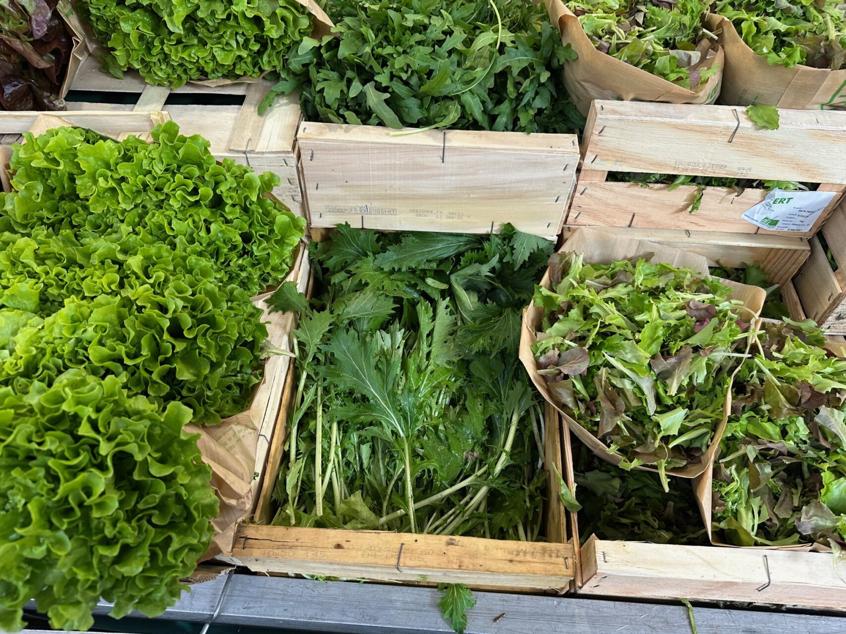 今日の献立、カリフラワーのブルーテ！