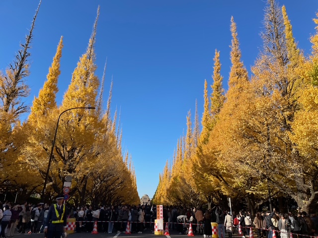 何食べているの～、父ちゃんの日本飯、最終回！