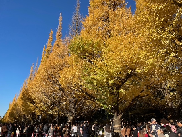 何食べているの～、父ちゃんの日本飯、最終回！