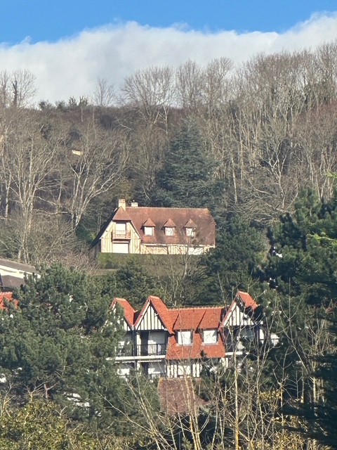 フランス田舎暮らし日記、（肉じゃが）