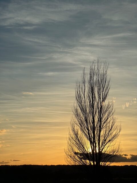 フランス田舎暮らし日記、（肉じゃが）
