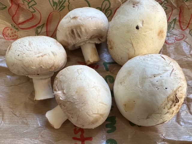 今日のごはん、チキンの赤ワイン煮込み、コックオーヴァン！