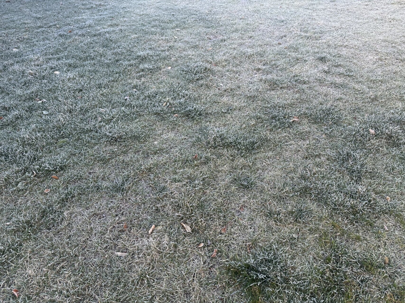 辻村だより、13