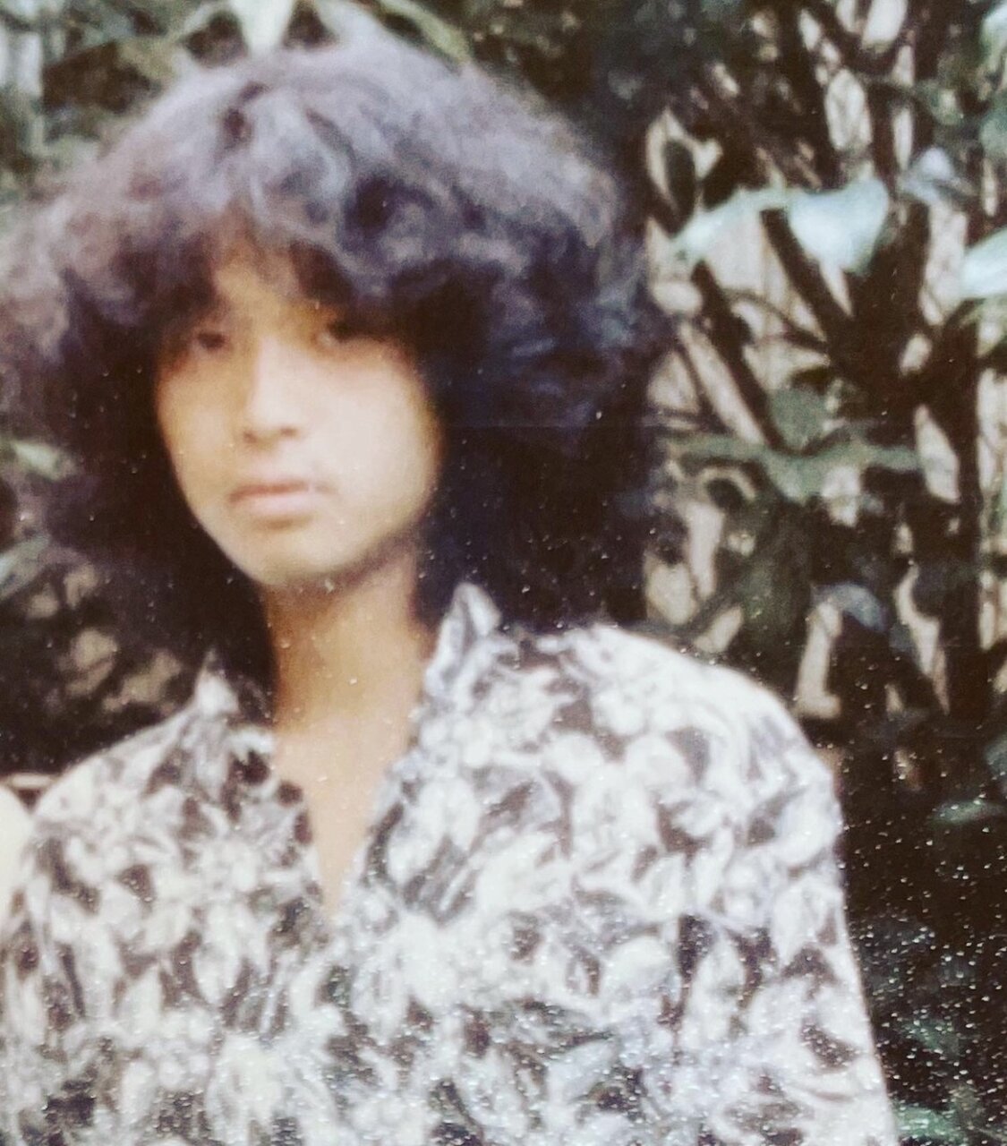 辻村だより、８