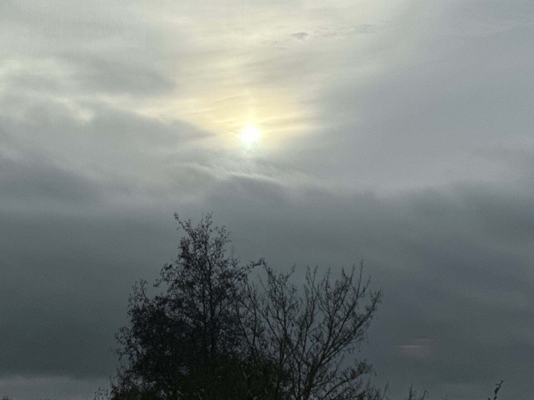 何食べているの~、父ちゃんのノルマンディ飯(円安編)