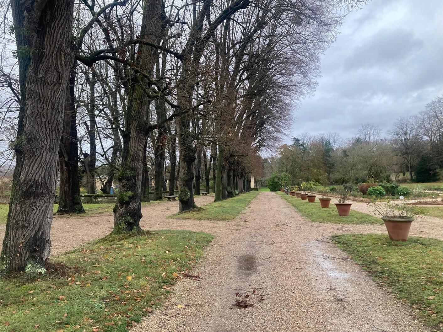 パリ・アート情報「ナポレオン夫妻の物語が残る、マルメゾン城美術館を訪ねて」