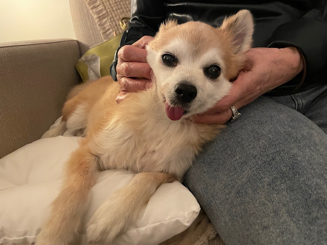 もちより忘年会という、無理しないパーティのコツ