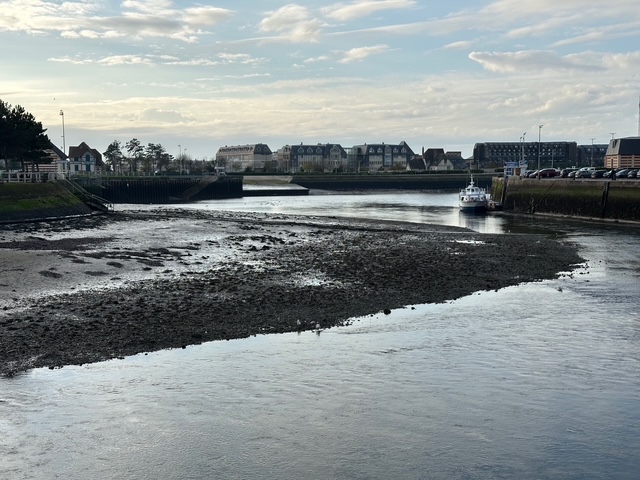 今日の献立、南仏風トマト・チキン煮込み