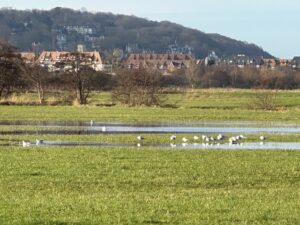 辻村だより、１０