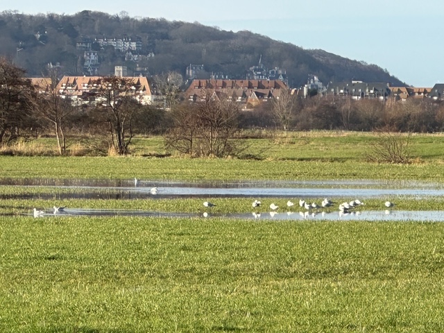 辻村だより、１０