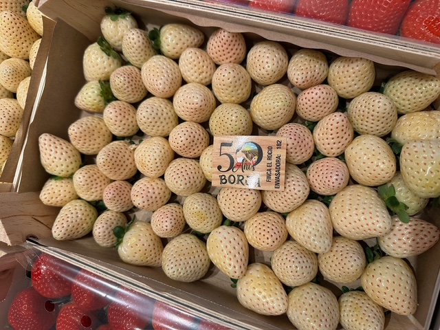 今日の献立、クリスマス・ケーキ