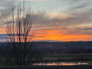メリークリスマス！　父ちゃんからのメッセージだよ