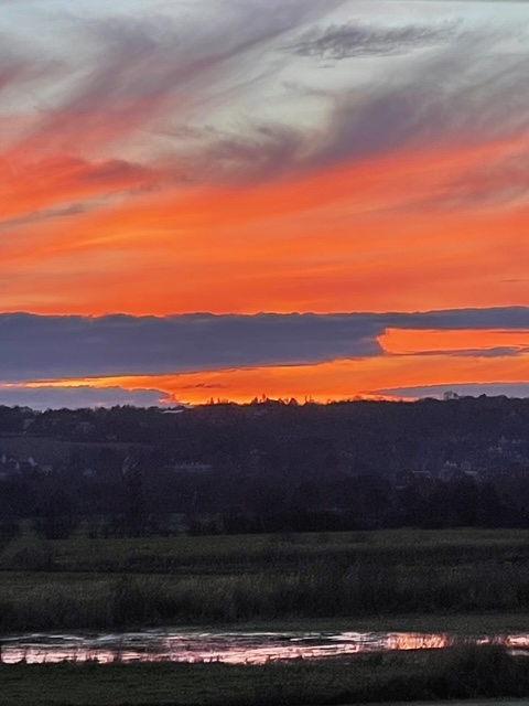 メリークリスマス！　父ちゃんからのメッセージだよ