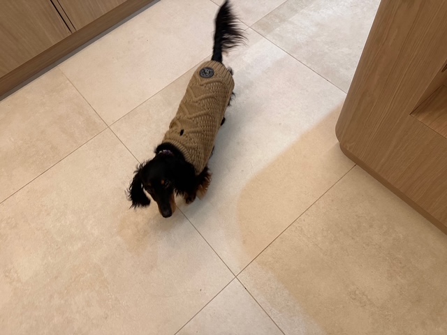 フランス田舎暮らし日記、チャールズの50歳の誕生日に。