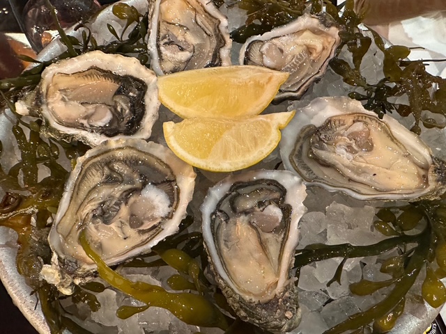 辻村だより、５