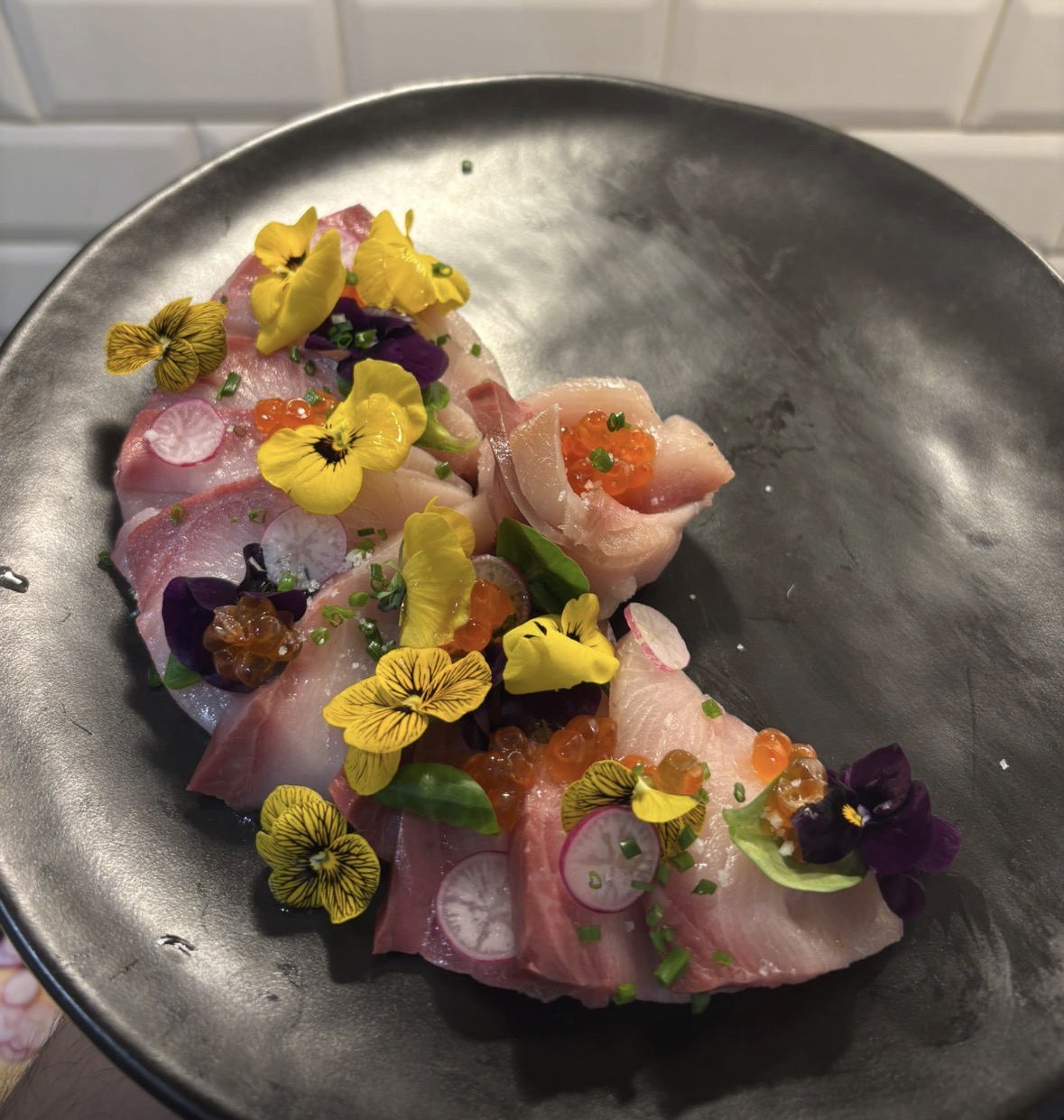 辻村だより、22