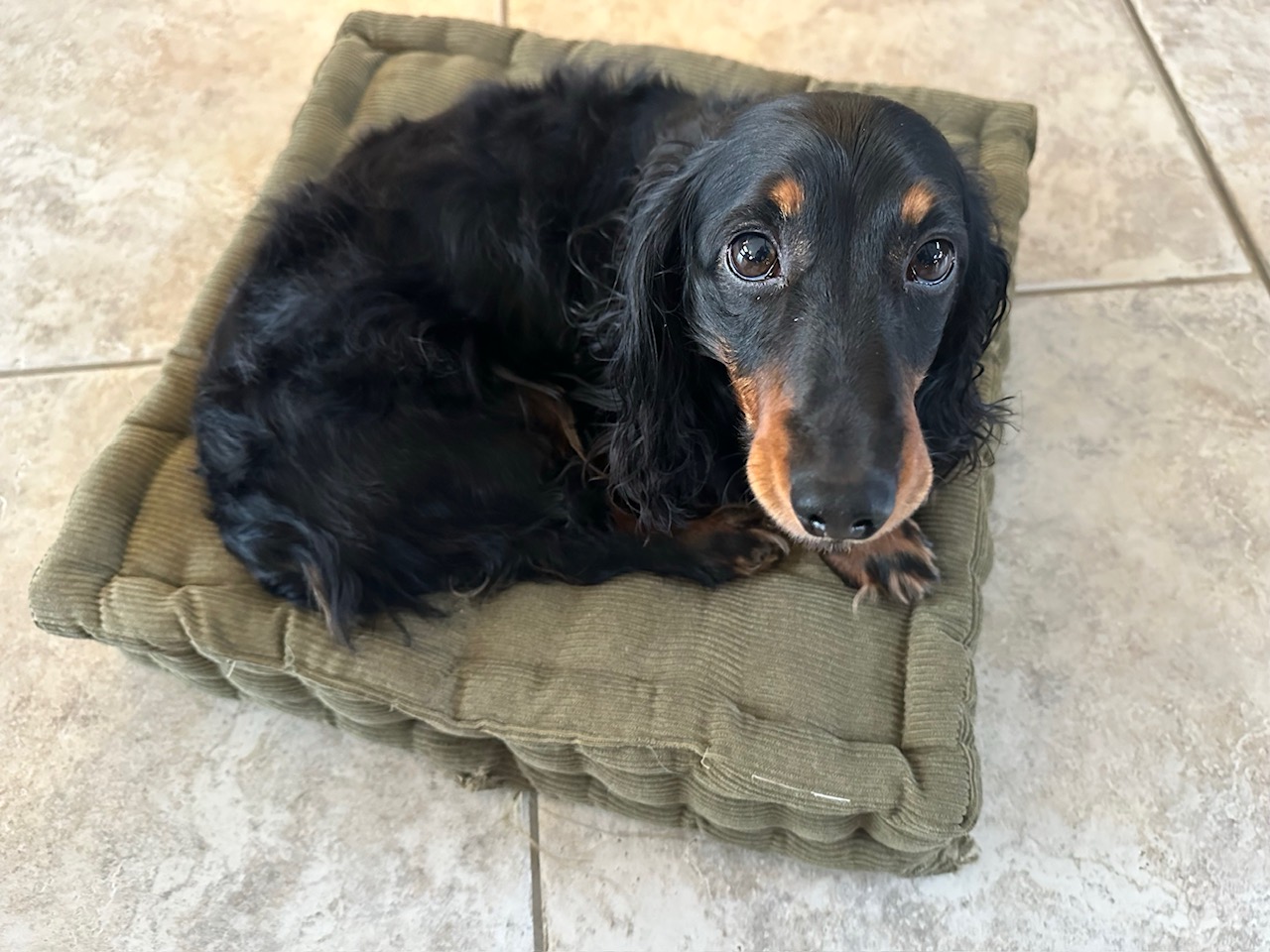 日々のことば、運命の設計者