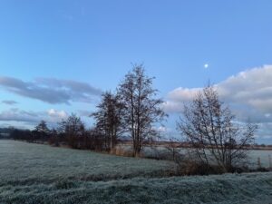 辻村だより、１７