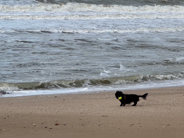 三四郎もびっくり、父ちゃんの絵が日本酒のラベルに
