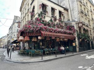 辻村だより、１９