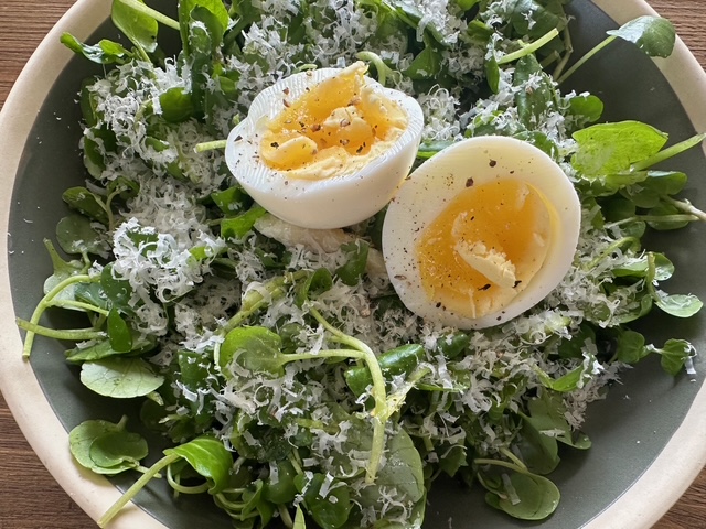 毎日が勝負飯、お隣の９０歳のおじいちゃん手作りのコンポート