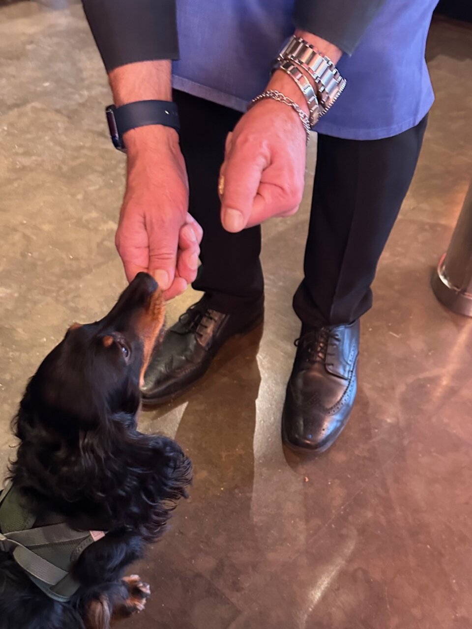 パリのカフェ飯、人生を彩る