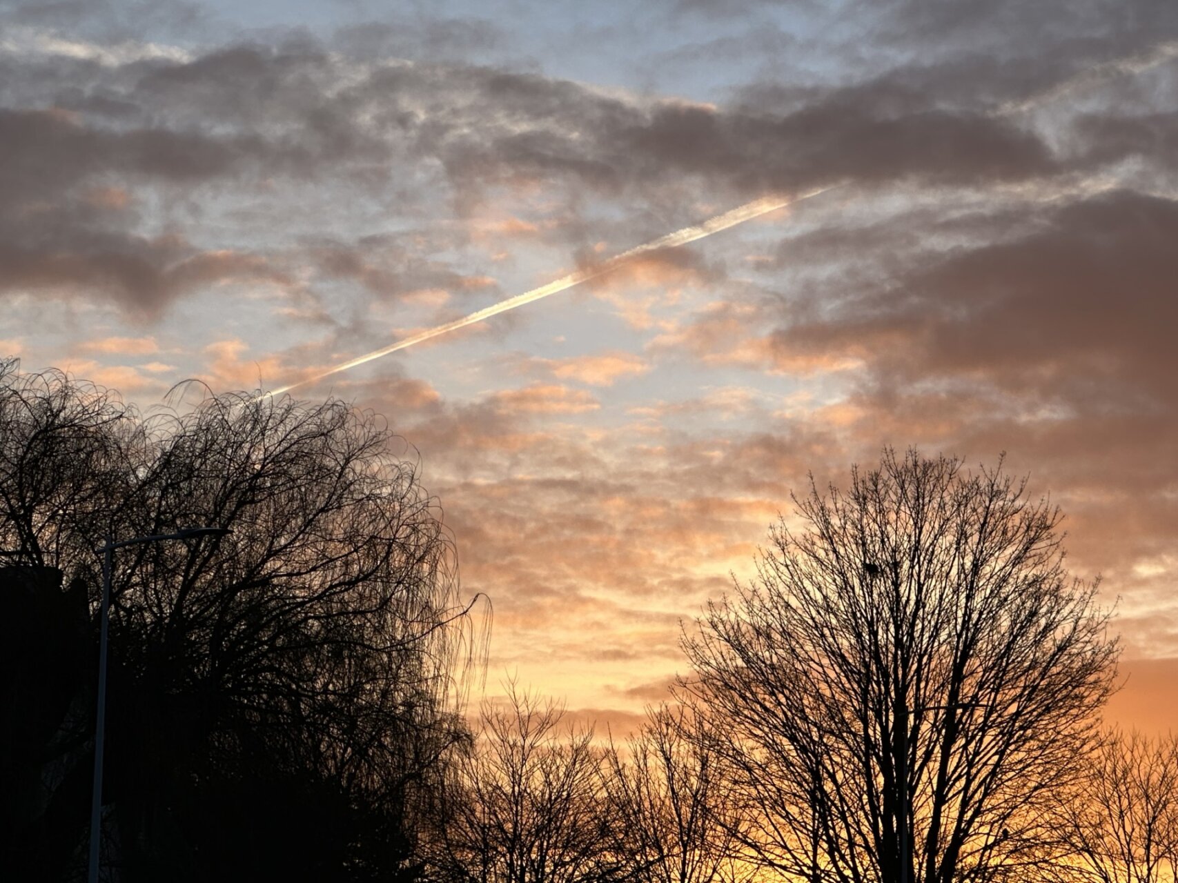 孤独が辛いこの頃の老境父ちゃん