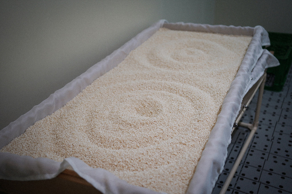 父ちゃんの絵が写真スタジオで撮影だって～！？