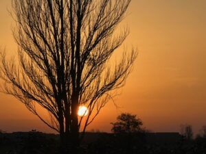 辻村相談窓口、「嘘と人間」