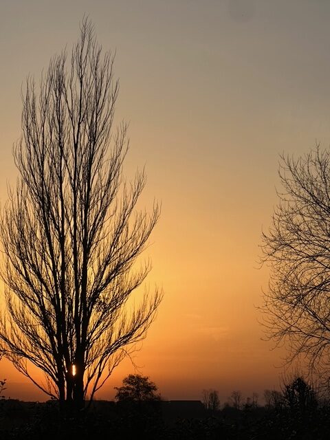 辻村相談窓口、「時間の使い方」