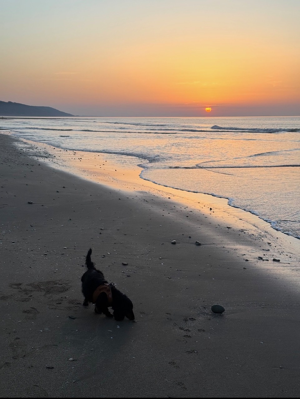 校長奮闘記「なにやってんだよ、こら、辻!」