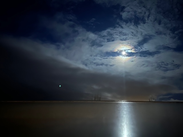 孤独が辛いこの頃の老境父ちゃん